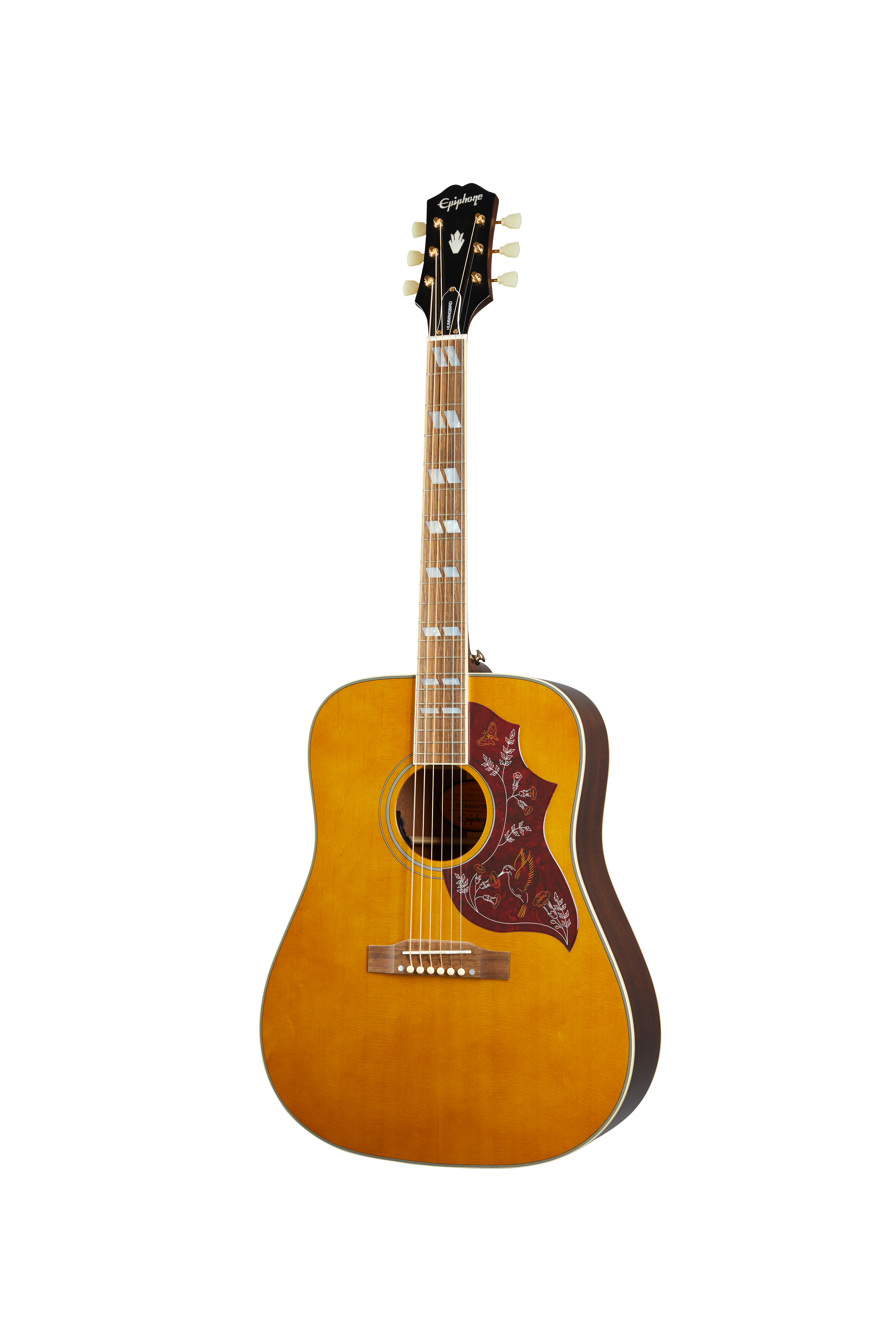 epiphone hummingbird case